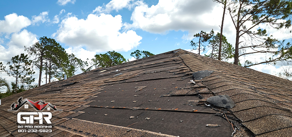 Don’t Wait for the Storm: 5 Signs Your Roof Needs Attention