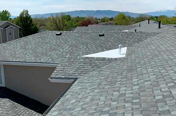Gray asphalt shingle roofs on residential buildings with vent pipes and trees in the background under a clear sky.