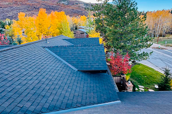 A black shingle roof seen from above, surrounded by autumn trees with yellow, orange, and red leaves near a residential street.