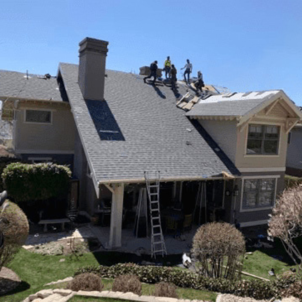 Close-up of architectural asphalt shingles showing durability and color variety