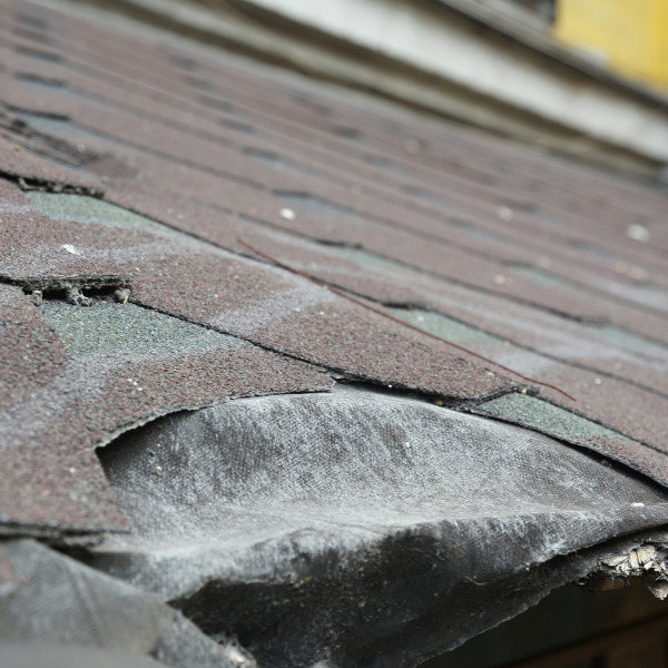 Close-up view of curled and cracked asphalt shingles on residential roof.