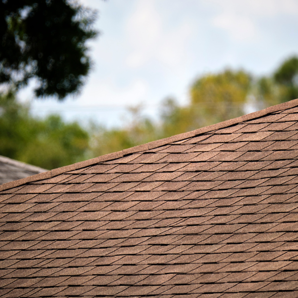 Roofing expert inspecting a roof with a checklist
