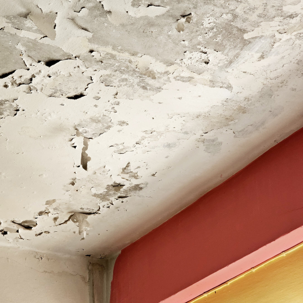 Interior ceiling damage from a leaking roof needing repair