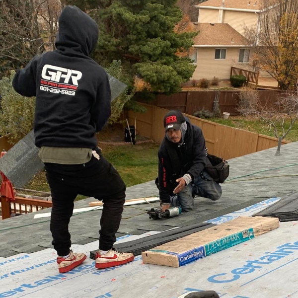 Hail damaged shingles showing bruising and granule loss