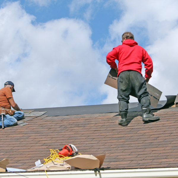 Roofer examining shingles to determine repair or replacement needs