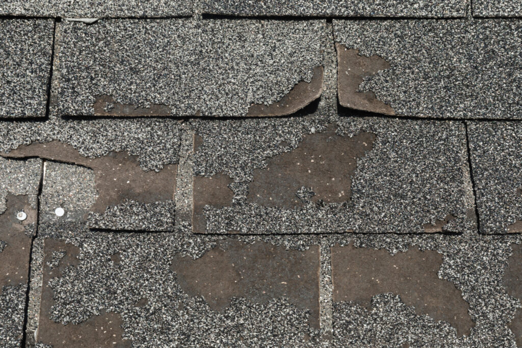 Close-up of cracked and curling roof shingles